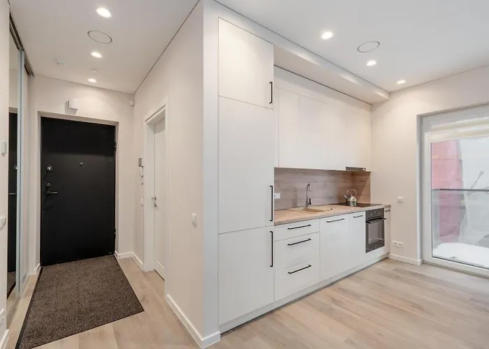 Apartment Modern Next To Clinics Kaunas