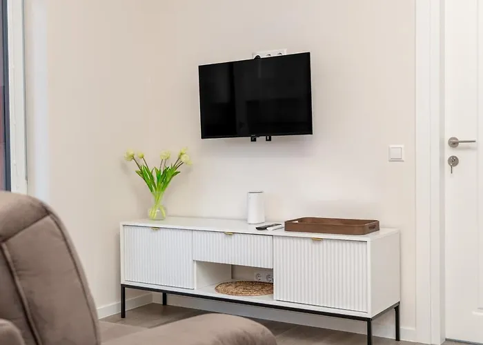 Modern Next To Clinics Apartment Kaunas